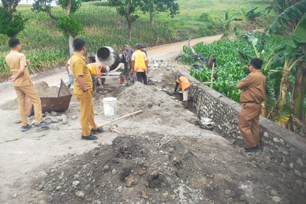 Dua Ruas Jalan Dikerja, Pj Wali Kota Parepare Harap Mudahkan Aktivitas Petani dan Peternak pj wali kota parepare