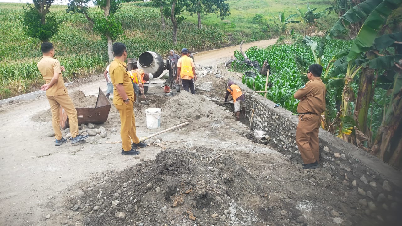 pj wali kota parepare