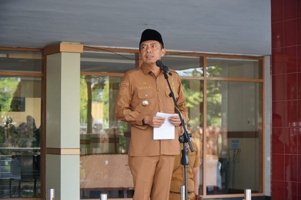 pj wali kota parepare