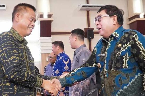 pj wali kota parepare