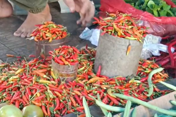 Pedas! Harga Cabai di Parepare Capai Tembus Rp 70 Ribu per Kilogram harga cabai