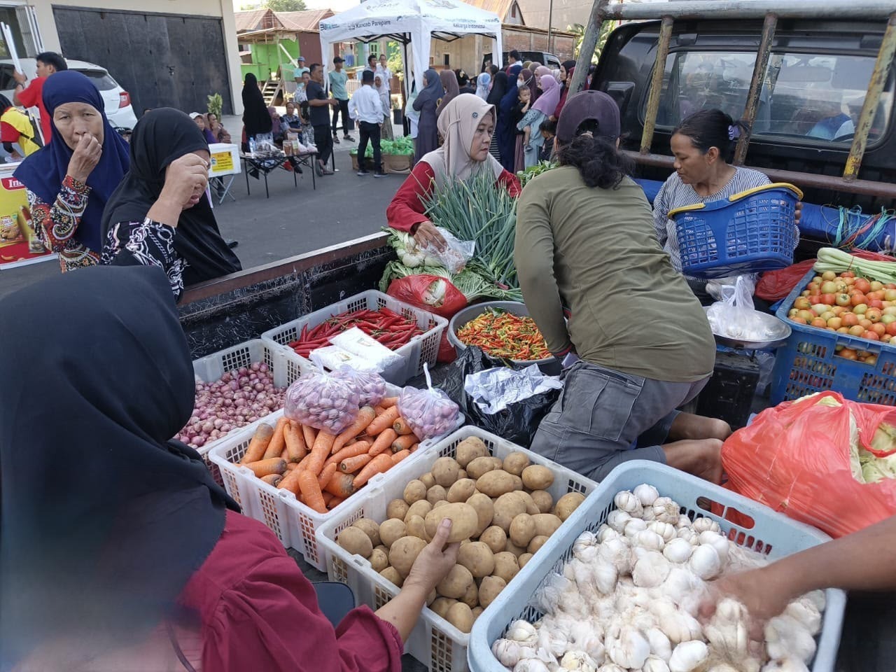 harga cabai